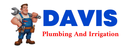 Trusted plumber in DAVEY